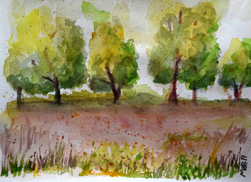 amazonrainforest